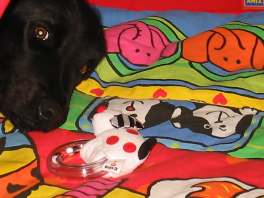 this playmat is going to the dogs